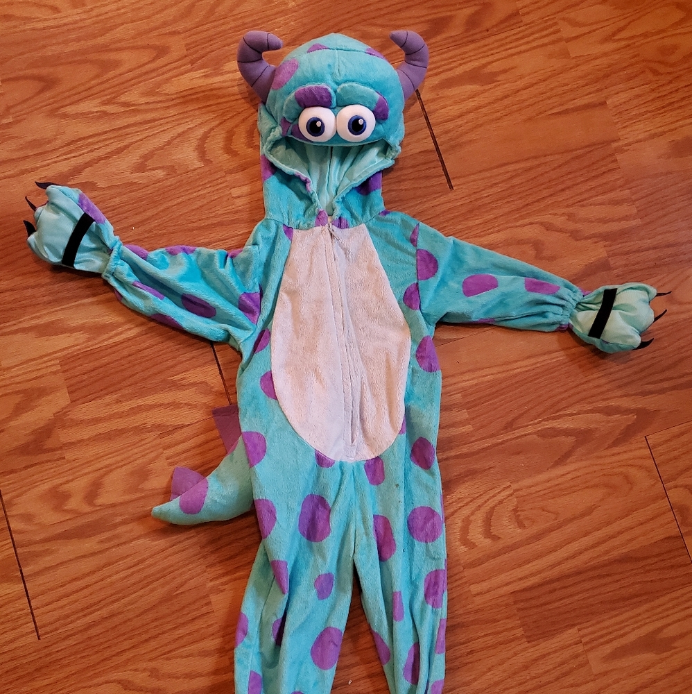 Sully from monsters inc